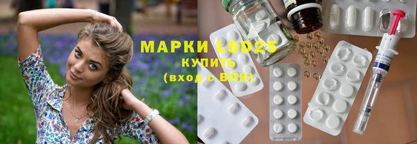 шишки Белоозёрский