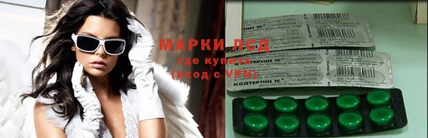 шишки Белоозёрский