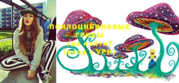спайс Белокуриха