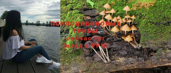 эйфоретик Богородск