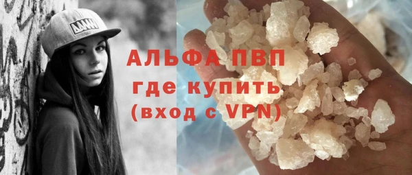 шишки Белоозёрский