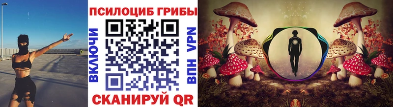 закладки  Катав-Ивановск  Псилоцибиновые грибы GOLDEN TEACHER 